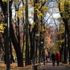На большей части территории России аномально теплой будет осень, а в Петербурге — начало зимы