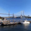 Слетал во Владивосток. Обалдел от ценника на красную икру