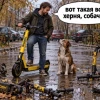 Зарегистрировались и разошлись: ВУШ обещал прокатить и прокатил… инвесторов