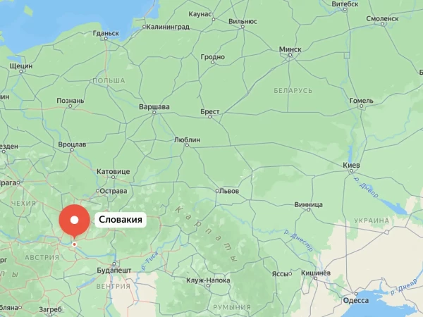 Медведь напал на женщину в Словакии