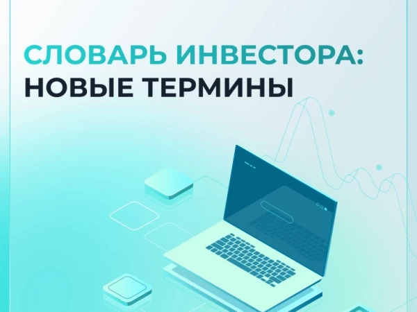 Словарь инвестора: что такое «метаданные»? 🔍