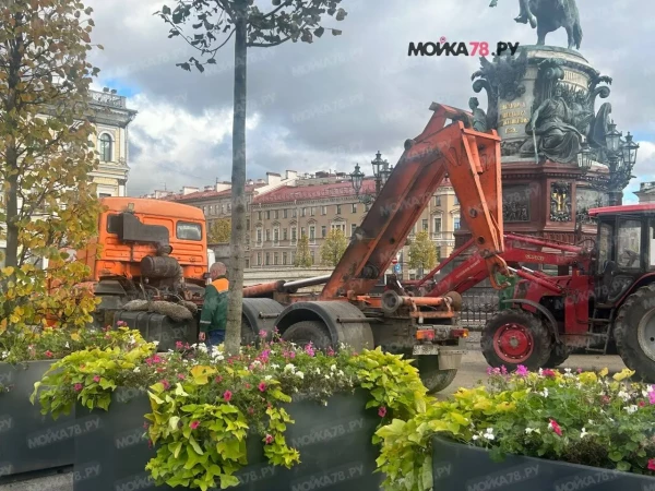 Сад-трансформер у Мариинского дворца начали разбирать