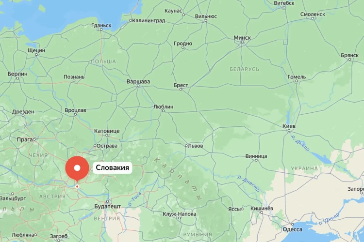 Медведь напал на женщину в Словакии