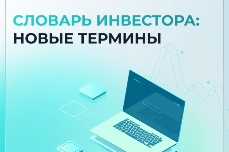 Словарь инвестора: что такое «метаданные»? 🔍