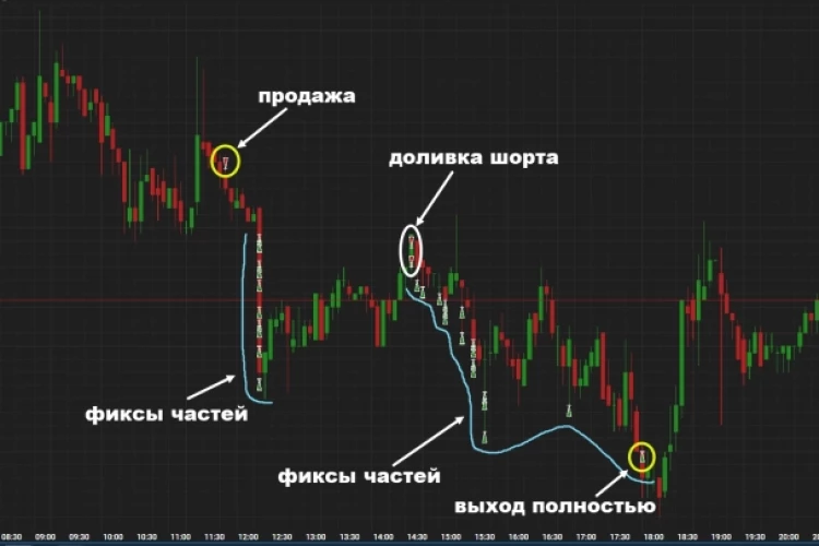 Пошортил ВКонтакте