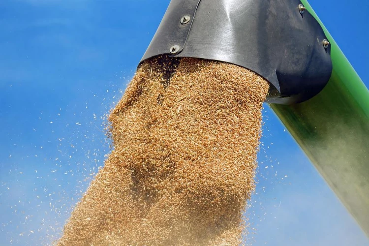 Украине предрекли катастрофу из-за проблем с экспортом зерна