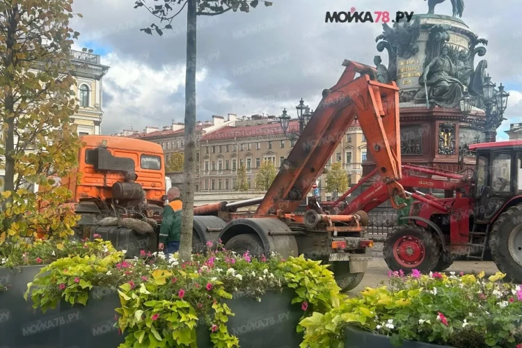 Сад-трансформер у Мариинского дворца начали разбирать