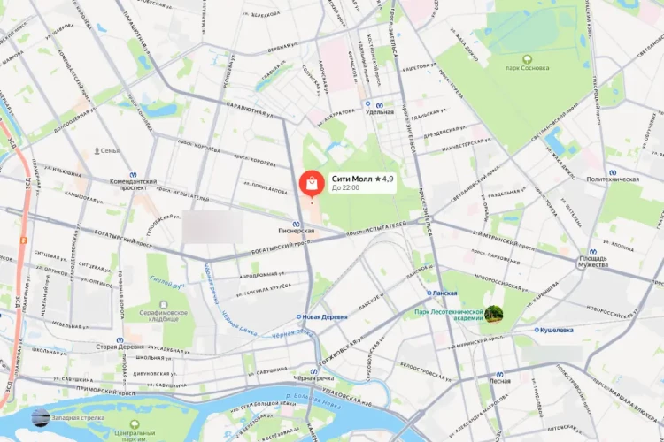 Подростки устроили массовую драку у ТРК «Сити Молл»