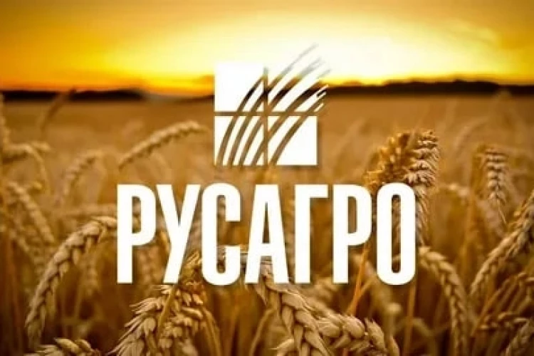Русагро: выручка растёт, но прибыль почти обнулилась