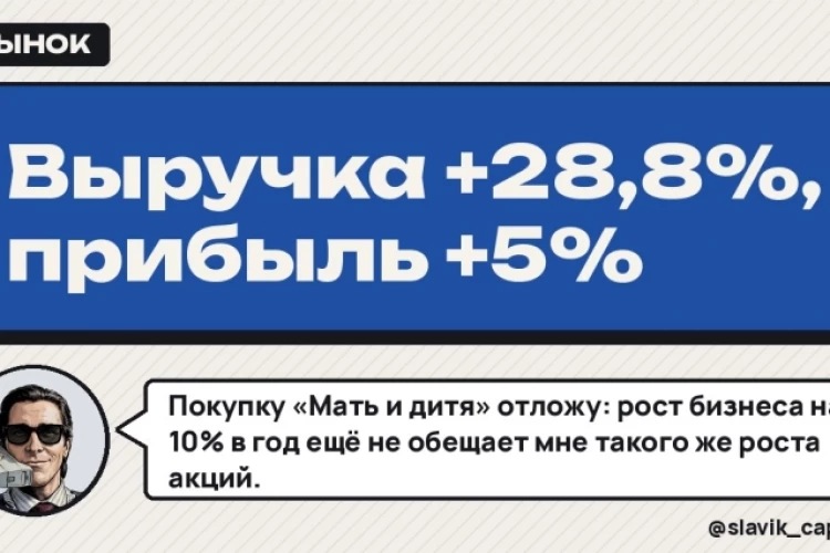 Выручка +28,8%, прибыль +5%