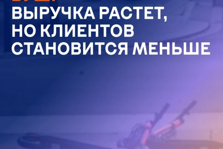 ВУШ: выручка растет, но клиентов становится меньше