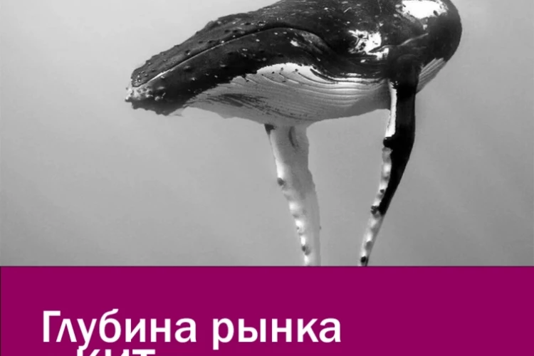 Глубина рынка