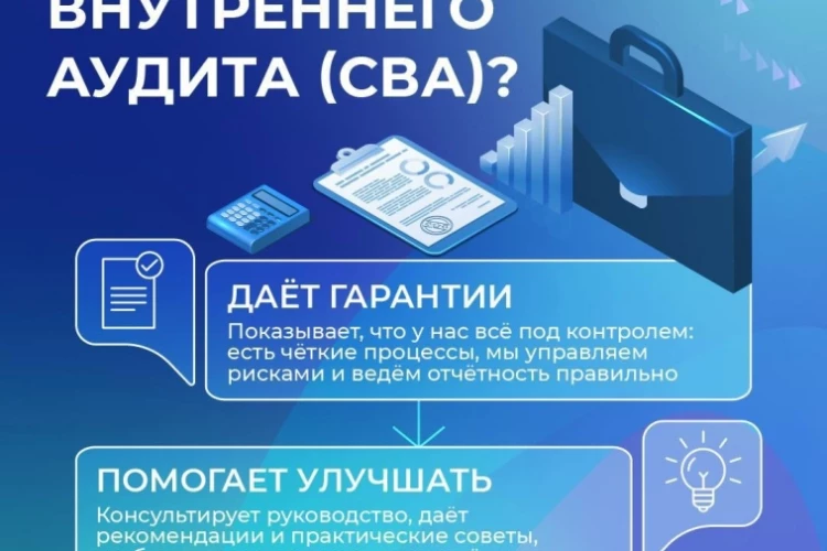 Как устроен внутренний аудит в «Озон Фармацевтика»