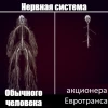 Иксануть капитал в 6 раз за год: доживёт ли Евротранс до выкупа акций на 7 млрд рублей?