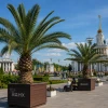 На ВДНХ вернули финиковые пальмы: как выставке возвращают советский облик