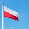 Туск назвал глупым решение Зеленского