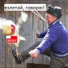 На бирже появилась стабильность: индекс вновь падает на 1,8%