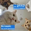 🐈‍⬛Эльвира, вставай, мы всё уронили