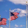 В США высказались об усилиях Трампа для урегулирования конфликта на Украине