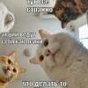 Биржа что, сошла с ума?