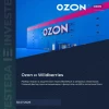 ​​🛡 Почему бьют по WB, но не трогают Ozon?