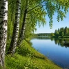 Рост индекса Мосбиржи, новые дивиденды, размещения облигаций и другие новости в обзоре главных событий недели