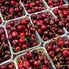 Не берите черешню с сухими черешками: как отличить свежие ягоды от лежалых