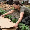 Коробки из-под продуктов спасли ремонт и порядок на участке - личный опыт
