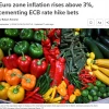 Инфляция в еврозоне превысила 3%, что подтверждает необходимость повышения процентной ставки ЕЦБ — Reuters