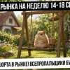 Анализ рынка на неделю 14-18 сентября. Шорт-сквизы неизбежны! Огромное кол-во шорта в рынке!