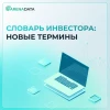 Словарь инвестора: что такое «метаданные»? 🔍