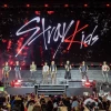 Stray Kids собрали 270 тысяч зрителей в Латинской Америке в рамках собственного фестиваля «STRAYCITY»