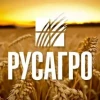 Русагро: выручка растёт, но прибыль почти обнулилась