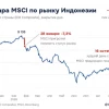Рынок Индонезии минус 11,6% за день. Виноват не кризис, а индекс!