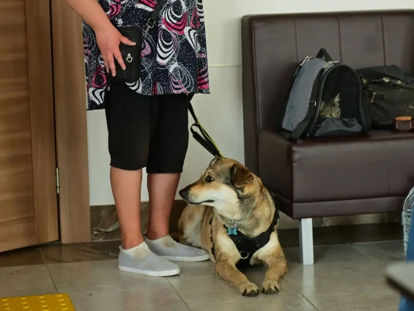 Фото из ПВР в Ленобласти, куда доставили людей из-за пожара на объекте Минобороны в Большой Ижоре