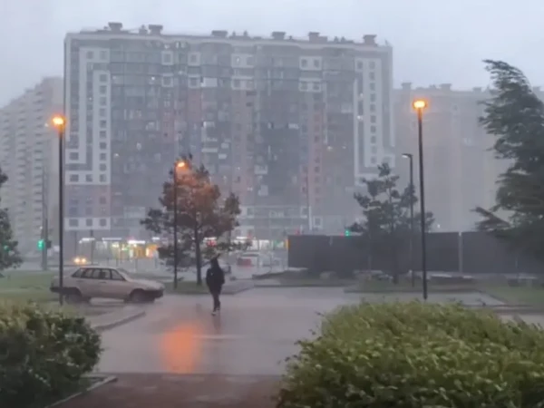На Комендантском проспекте стена дождя и сильный ветер — видео от читателя Мойки78