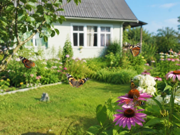 Ядовитые гусеницы атакуют: жителей предупреждают об опасности в парках