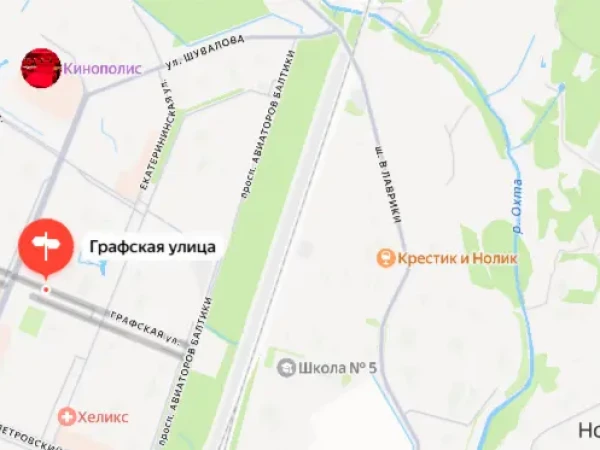 В Мурино шашлычник угодил из поля в полицию после стрельбы из сигнального пистолета