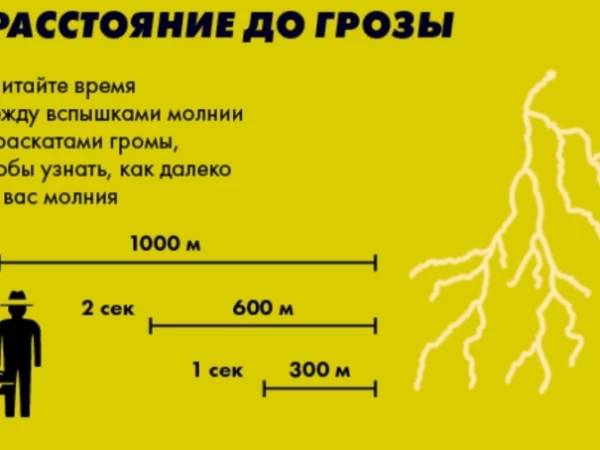 Как я пытался обогнать алгоритмы на Мосбирже и потерпел неудачу: эксперимент с индикатором-поводырем