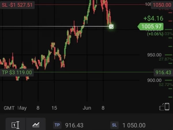 Goldman smci short