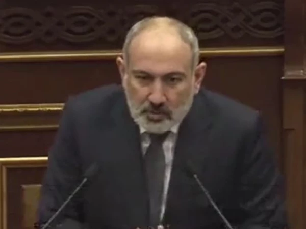 Пашинян допустил лишение проживающих за рубежом армян избирательного права