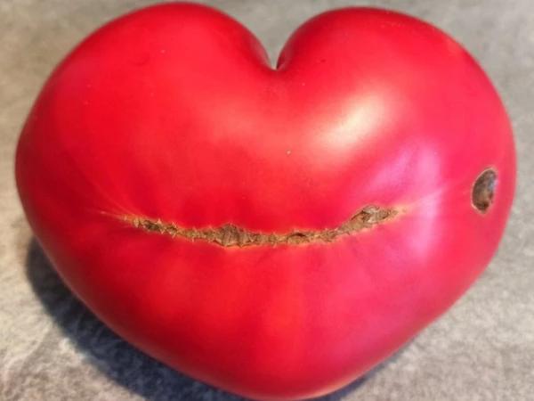 ❤️ Не унывайте, посоны! ❤️