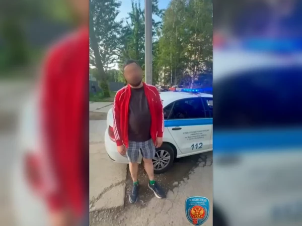 «Исправлюсь»: в Петербурге не пропустивший скорую водитель «Хендай» извинялся на камеру ГАИ