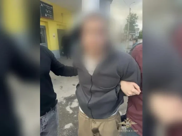 Задержан подозреваемый в убийстве девочки, пропавшей под Тосно