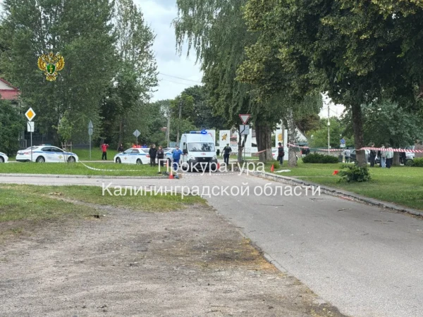 Сбитая пьяным водителем в Калиниграде годовалая девочка находится в коме