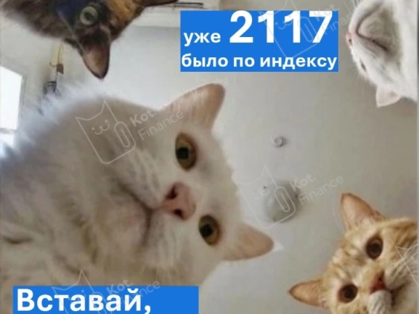 🐈‍⬛Эльвира, вставай, мы всё уронили