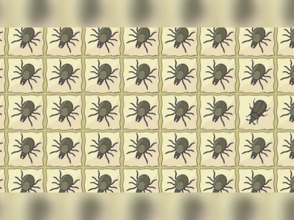 Только самые внимательные заметят насекомое-«шпиона» на картинке