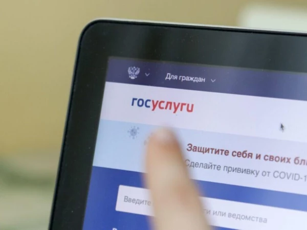 Налоговые уведомления по умолчанию будут направлять через «Госуслуги»
