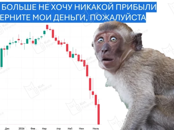 📉Котайджест🐾 19ая неделя вышибания денег из акционеров. Всё падает: акции, облигации, ОФЗ. Растет только валюта и недвижимость!