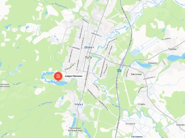 В Луге 18-летняя девушка утонула, купаясь в озере Омчино